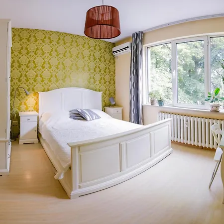 My Orchids In The Heart Of * София